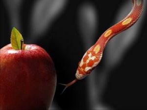 Red Snake and Red Apple