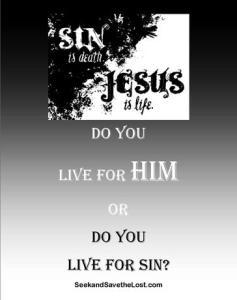 Seek and Save Live for Him or Live for Sin website Pic