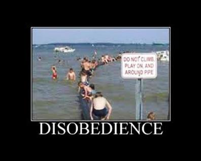 Disobedience 1 website pic